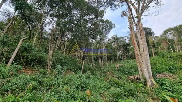 Terreno, 10 m² - Foto 4