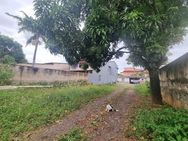 Foto do Terreno - Lote excelente 500 metros – Casa 2 quartos – Condomínio – Colônia Agrícola Samambaia  - Próximo ao Taguapark | AMF Imóveis Brasília Ltda