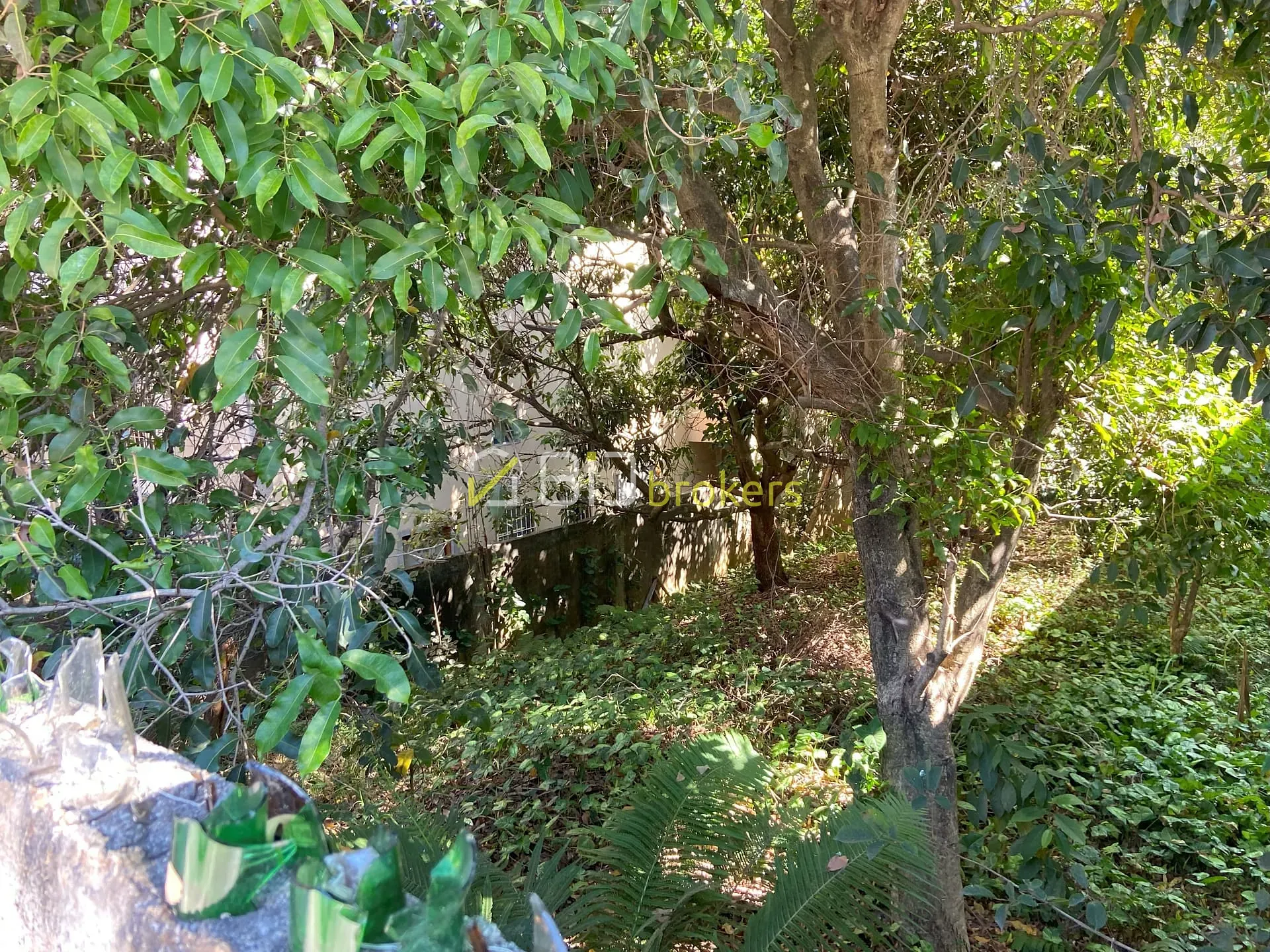 Terreno, 300 m² - Foto 4