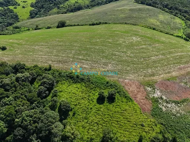 Terreno com 155848m², à venda, no bairro ZONA RURAL em Coronel Vivida