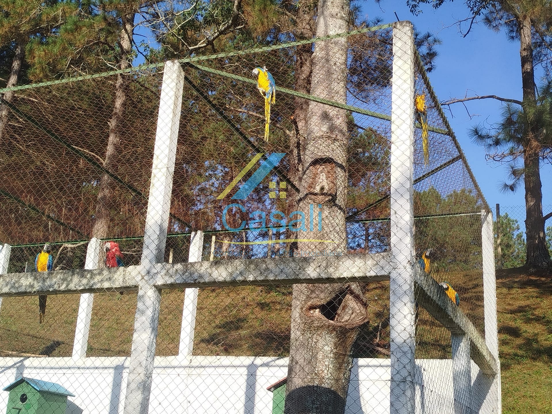 Terreno, 1500 m² - Foto 42