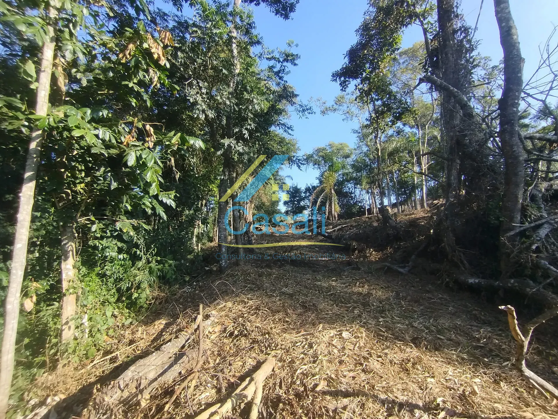 Terreno, 1500 m² - Foto 6