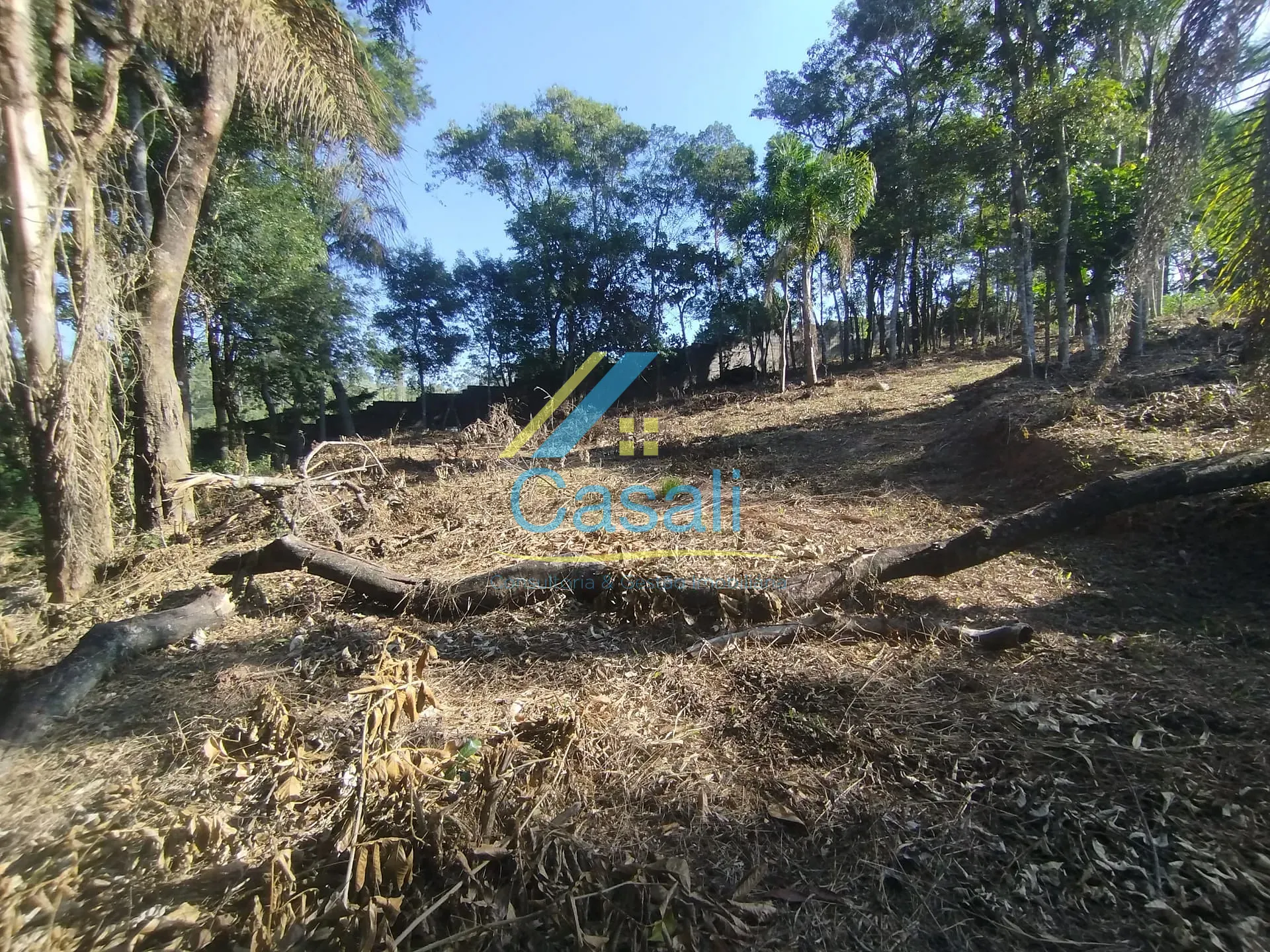 Terreno, 1500 m² - Foto 8