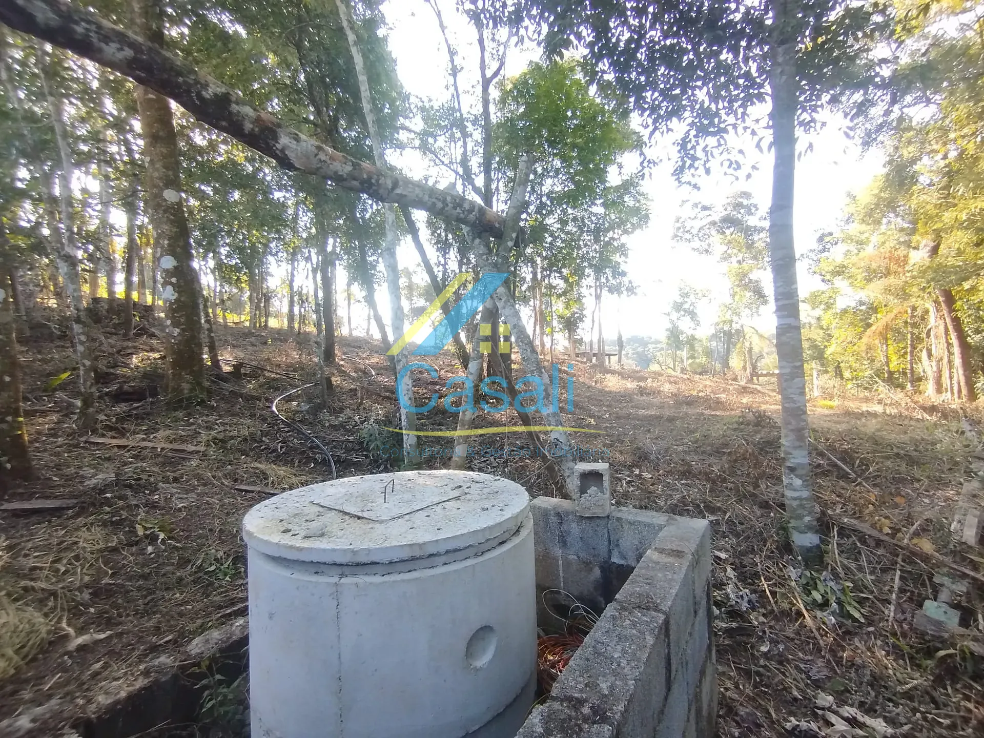 Terreno, 1500 m² - Foto 9