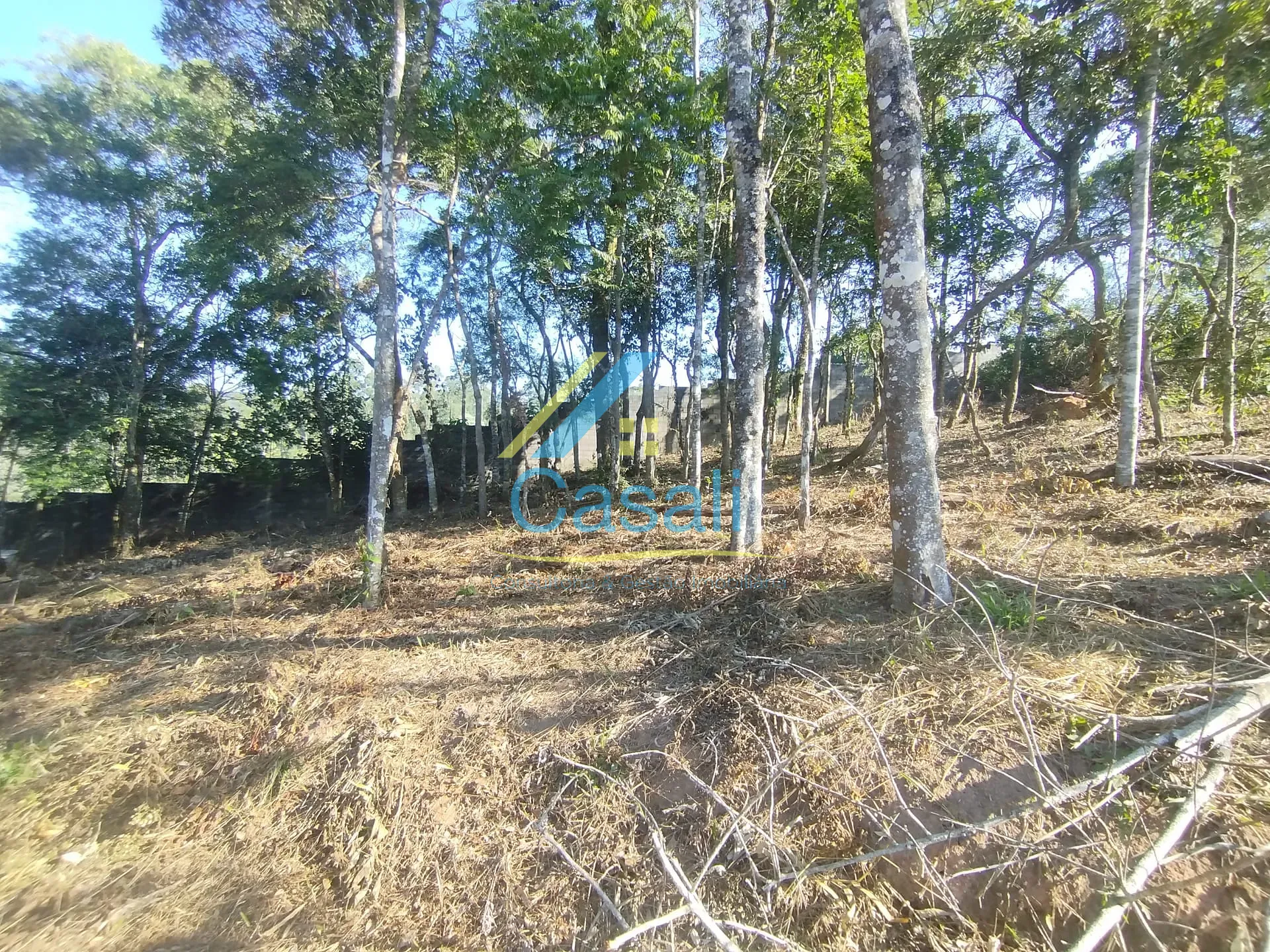 Terreno, 1500 m² - Foto 10