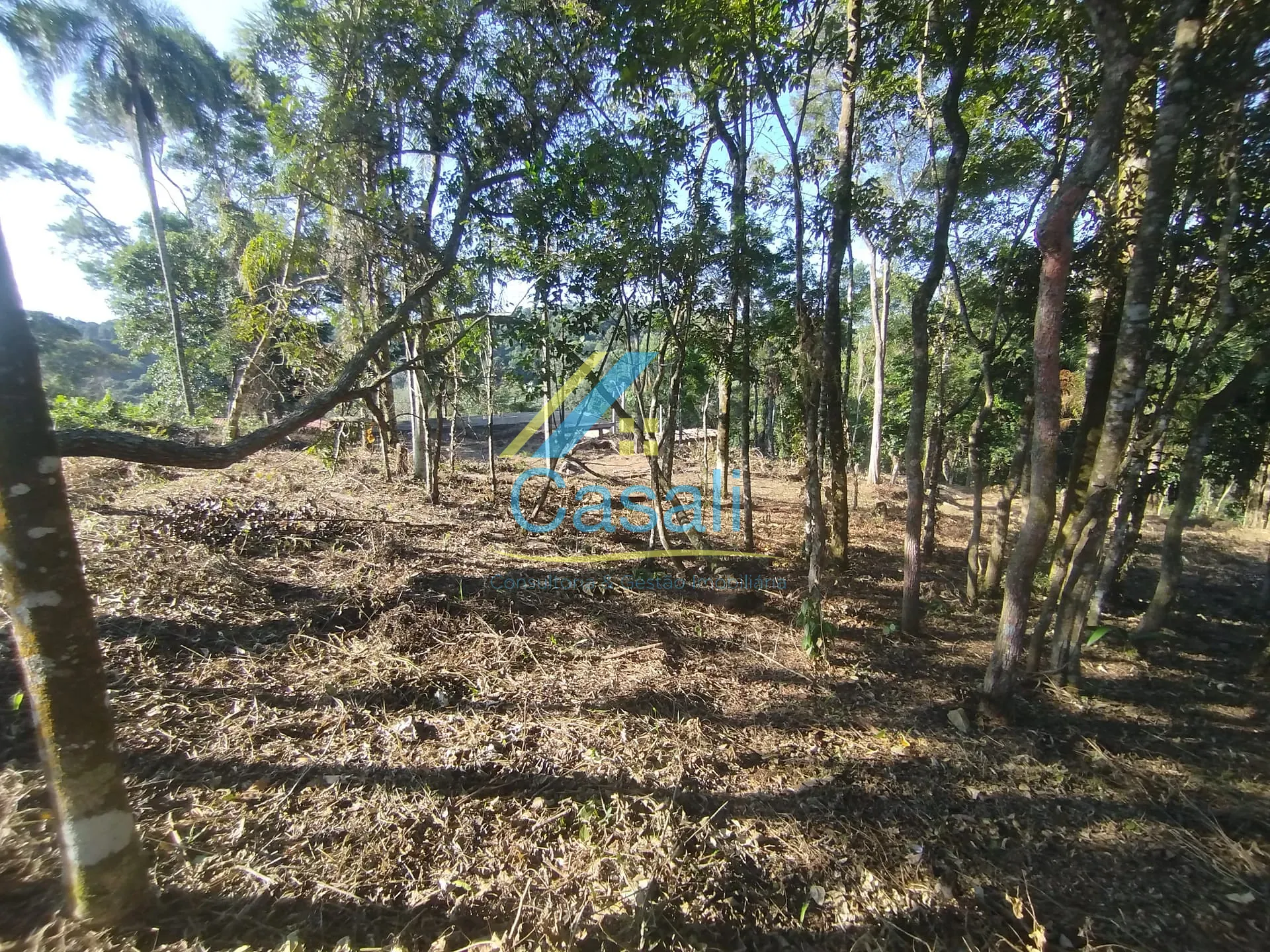Terreno, 1500 m² - Foto 22