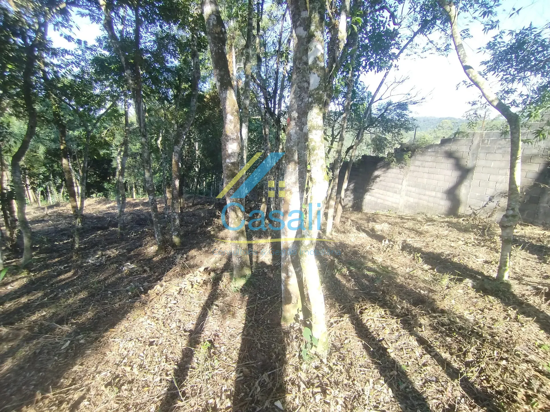 Terreno, 1500 m² - Foto 23