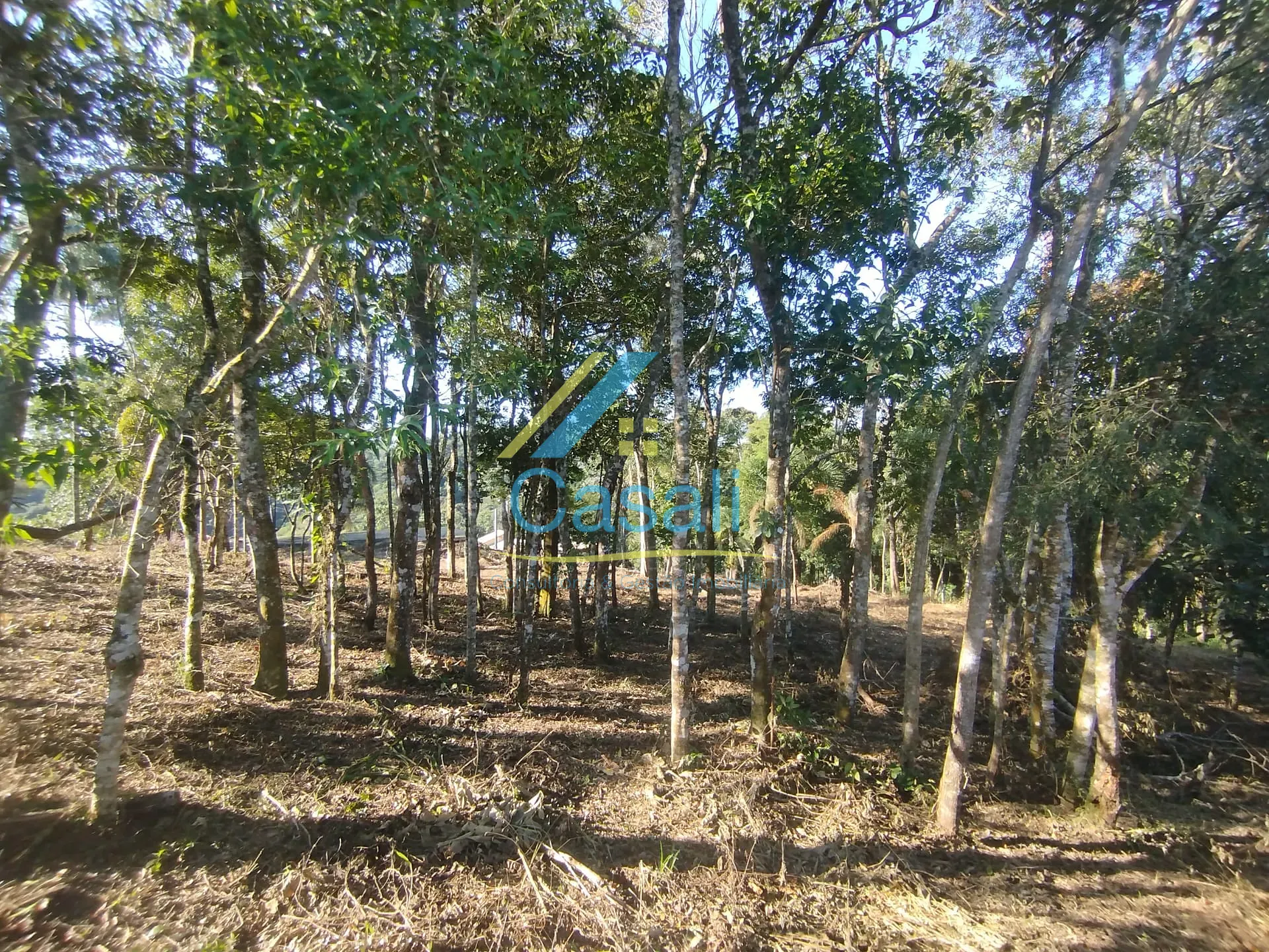 Terreno, 1500 m² - Foto 24