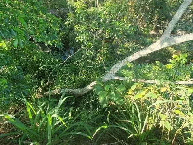 Terreno com 1180m², à venda, no bairro centro em Itatiaia