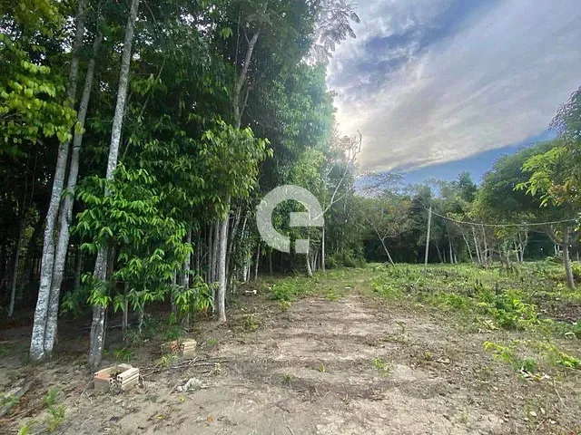 Terreno com 6000m², à venda, no bairro Cipoal em Belterra