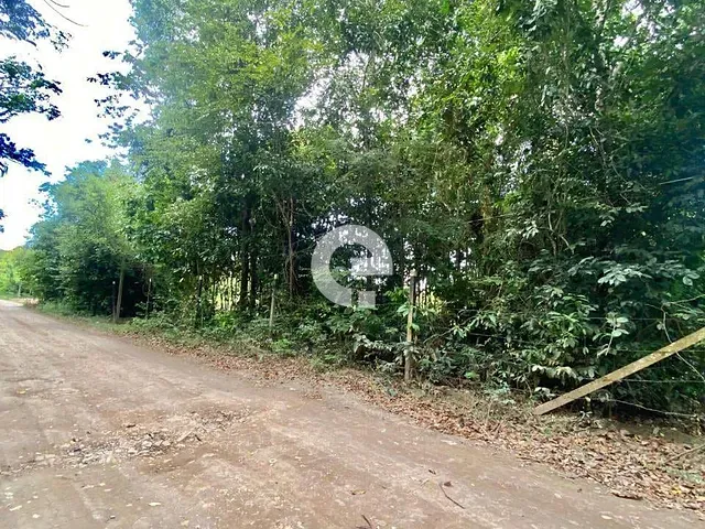 Terreno com 6000m², à venda, no bairro Cipoal em Belterra
