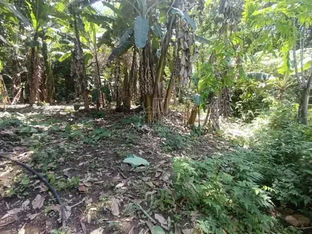 Terreno com 10700m², à venda, no bairro Paiol em Guapimirim