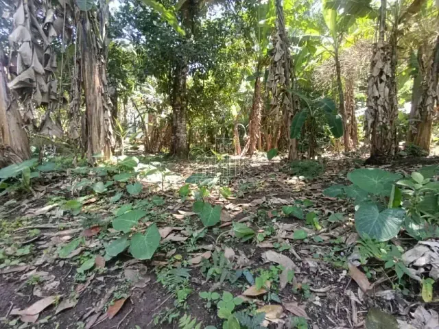 Terreno com 10700m², à venda, no bairro Paiol em Guapimirim