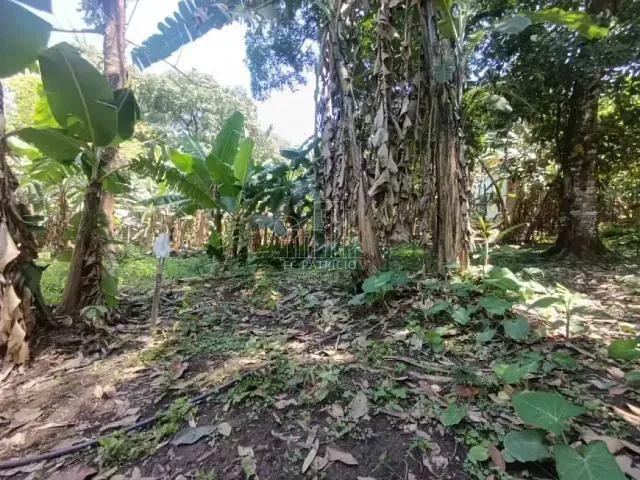 Terreno com 10700m², à venda, no bairro Paiol em Guapimirim
