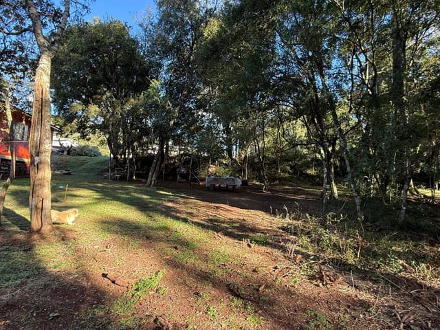 Terreno com 480m², à venda, no bairro Coroados em Nova Prata