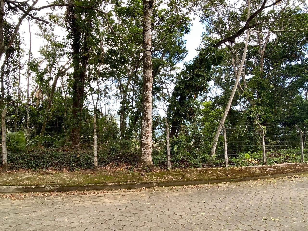 Terreno, 252 m² - Foto 3