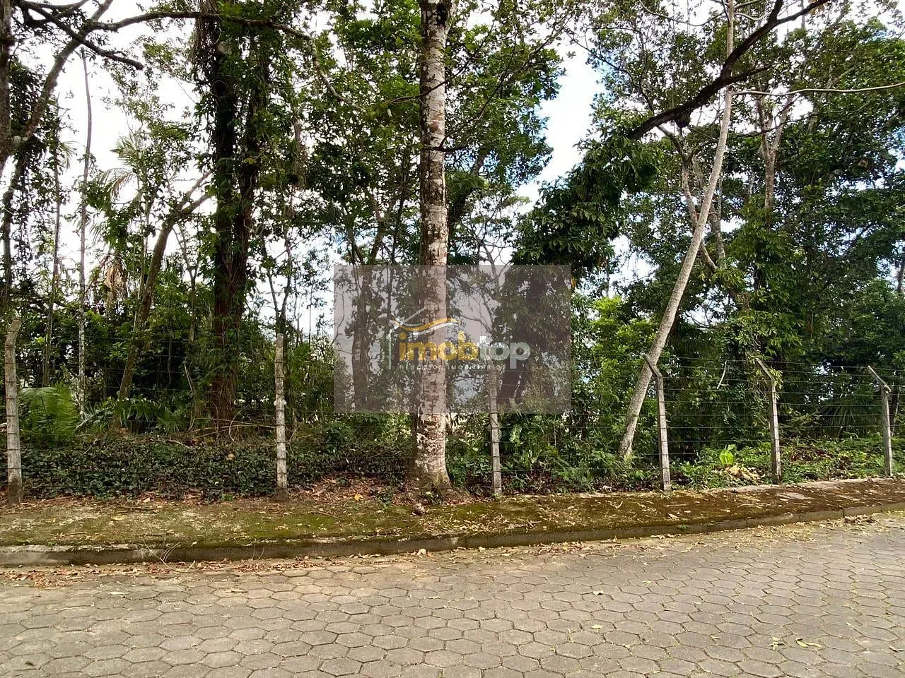 Terreno, 252 m² - Foto 3