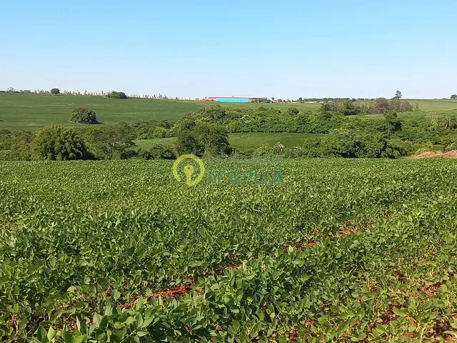 Sítio com 145200m², à venda, no bairro Jardim Primavera em Londrina