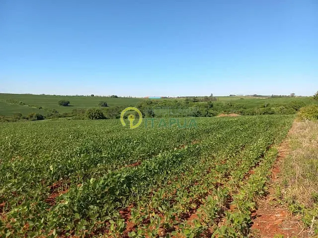 Sítio com 145200m², à venda, no bairro Jardim Primavera em Londrina