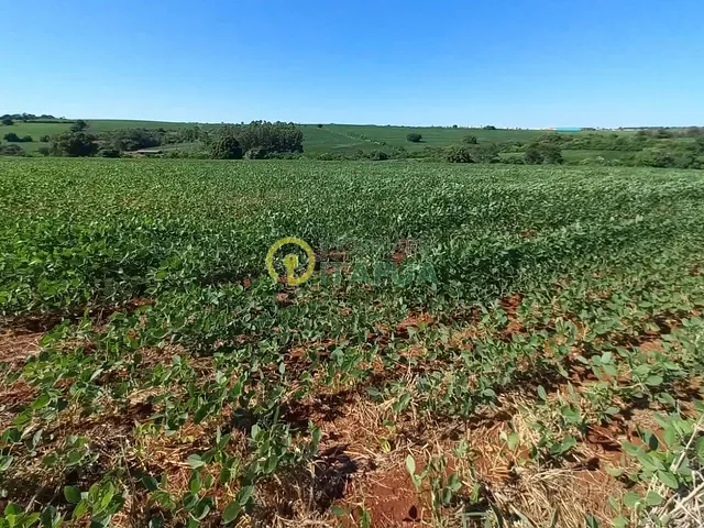Sítio com 145200m², à venda, no bairro Jardim Primavera em Londrina