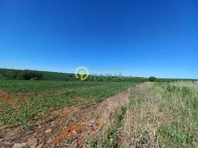 Sítio com 145200m², à venda, no bairro Jardim Primavera em Londrina