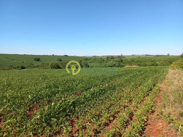 Sítio com 145200m², à venda, no bairro Jardim Primavera em Londrina