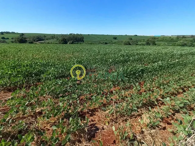 Sítio com 145200m², à venda, no bairro Jardim Primavera em Londrina