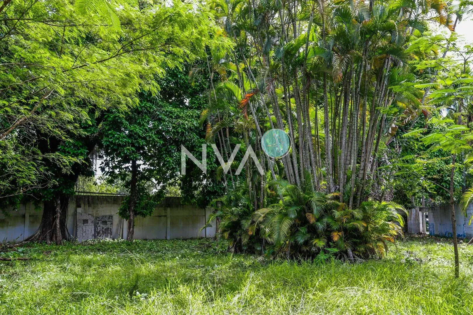 Terreno, 1182 m² - Foto 15