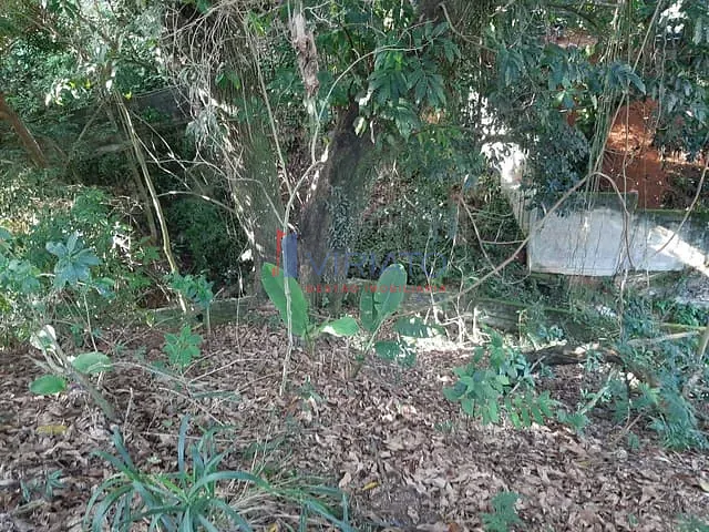 Terreno com 447m², à venda, no bairro Alto da Boa Vista em Rio de Janeiro