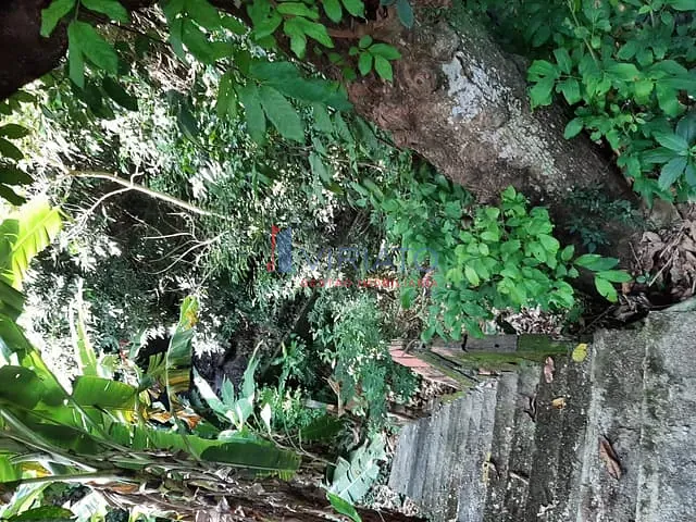 Terreno com 447m², à venda, no bairro Alto da Boa Vista em Rio de Janeiro