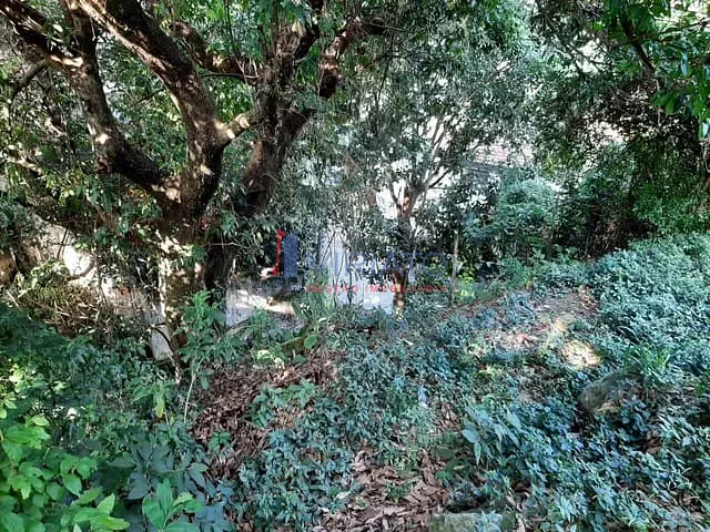 Terreno com 447m², à venda, no bairro Alto da Boa Vista em Rio de Janeiro