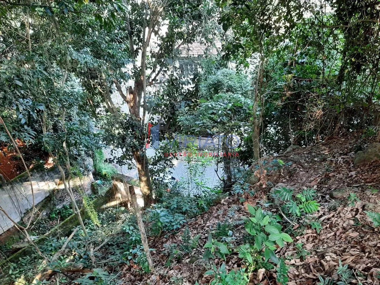 Terreno, 447 m² - Foto 7