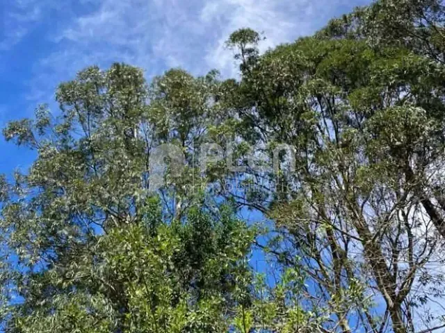 Terreno com 1575m², à venda, no bairro Roseira em Mairiporã