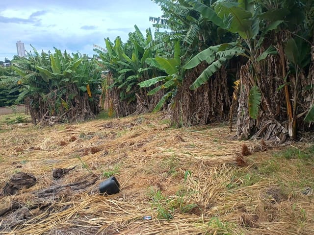 Terreno com 1048m², à venda, no bairro José Estevam em Jataí