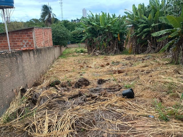 Terreno com 1048m², à venda, no bairro José Estevam em Jataí