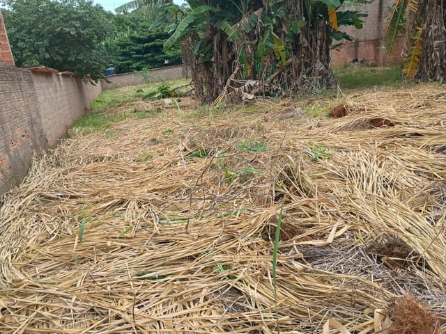 Terreno com 1048m², à venda, no bairro José Estevam em Jataí