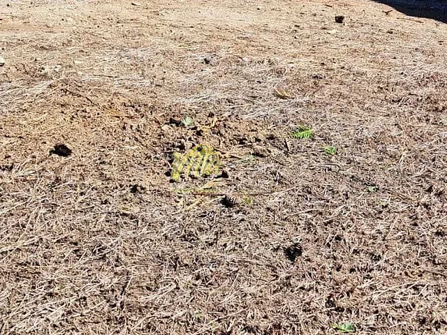 Terreno com 420m², à venda, no bairro Iguaçu em Araucária