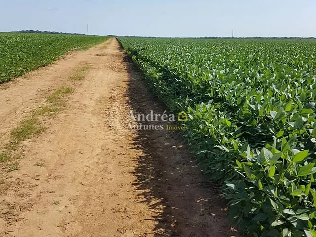 Fazenda com 4000m² 4 quartos e 3 banheiros, à venda, no bairro ALTO BOA VISTA em Porto Alegre do Norte