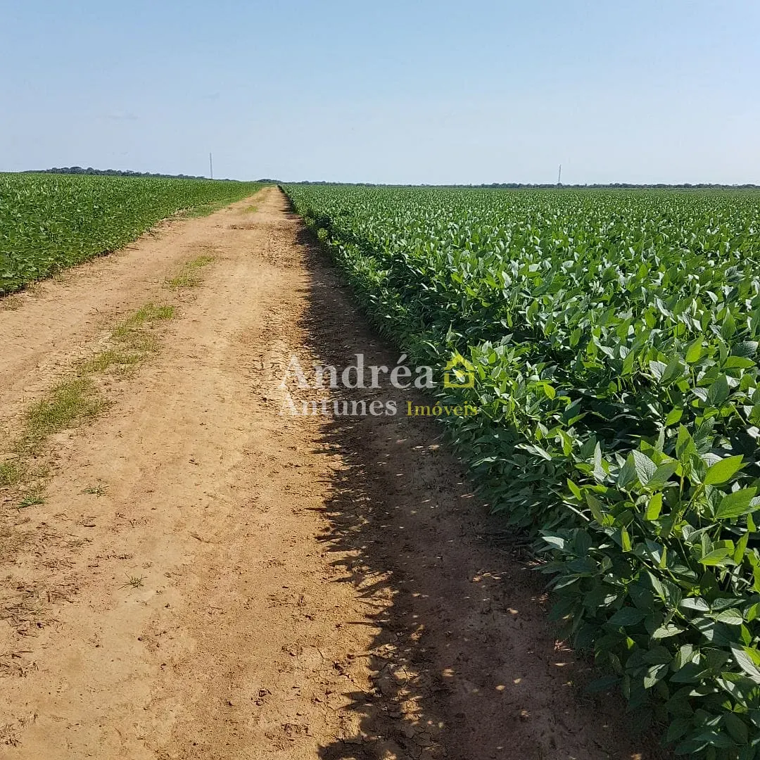 Fazenda, 4000 m² - Foto 1