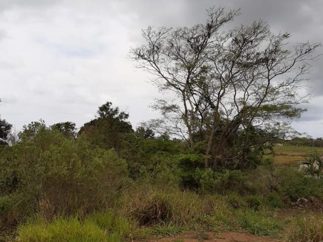 Terreno com 4233m², à venda, no bairro Balneário das Garças em Rio das Ostras