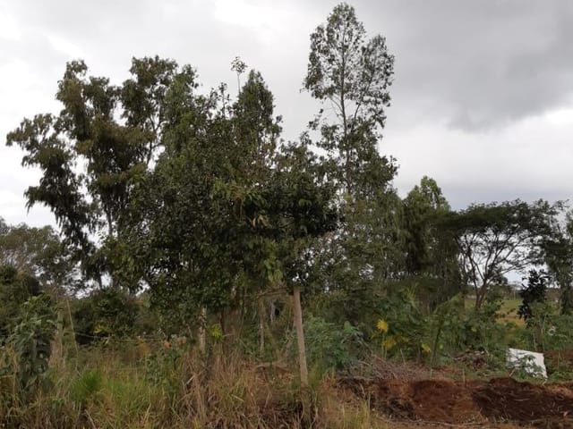 Terreno com 4233m², à venda, no bairro Balneário das Garças em Rio das Ostras