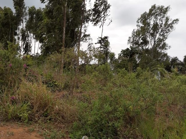 Terreno com 4233m², à venda, no bairro Balneário das Garças em Rio das Ostras