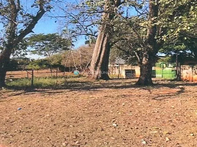 Terreno com 23796m², à venda, no bairro Parque Residencial Cambui em São José do Rio Preto