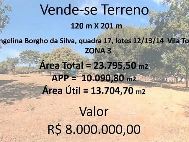 Terreno com 23796m², à venda, no bairro Parque Residencial Cambui em São José do Rio Preto