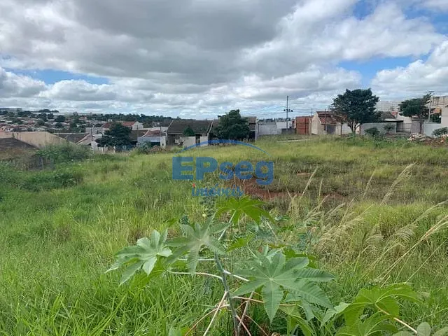 Terreno com 303m², à venda, no bairro Jardim Tropical em Londrina