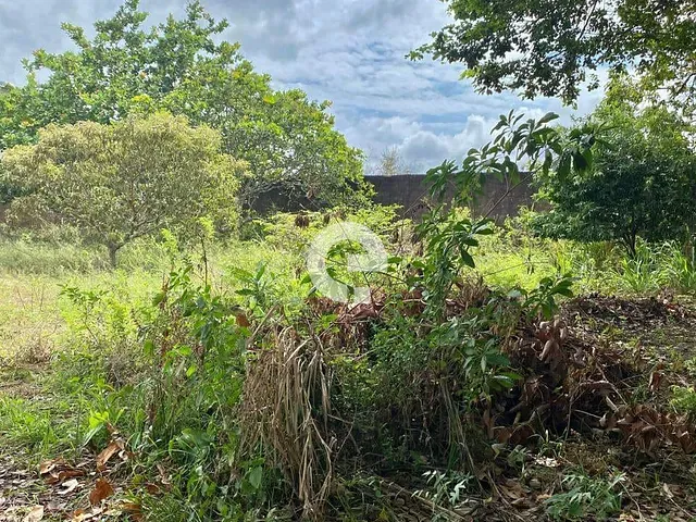 Terreno com 900m², à venda, no bairro Nova Vitoria em Santarém