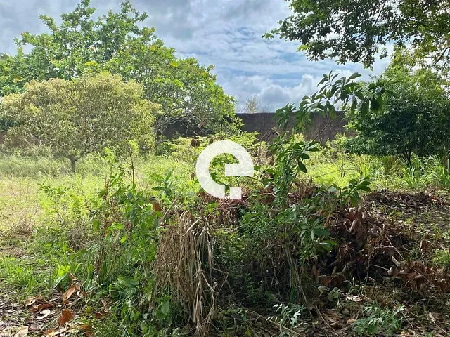 Terreno com 900m², à venda, no bairro Nova Vitoria em Santarém