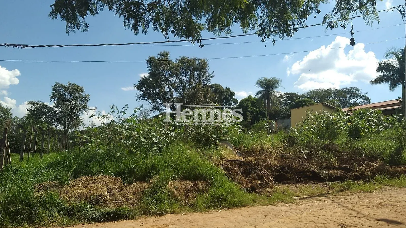 Terreno, 1000 m² - Foto 3