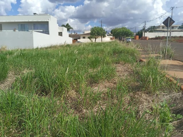 Foto do Terreno - Terreno à venda 504M², Vale Verde, Rolândia -  | Imobiliária Casa Grande - Rolândia