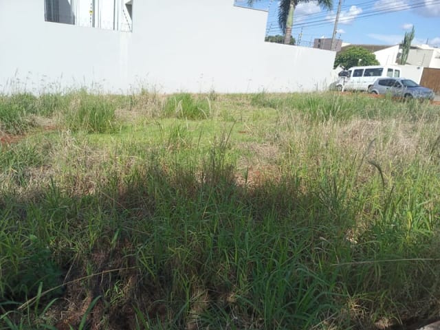 Foto do Terreno - Terreno à venda 504M², Vale Verde, Rolândia -  | Imobiliária Casa Grande - Rolândia